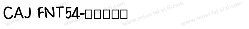 CAJ FNT54字体转换